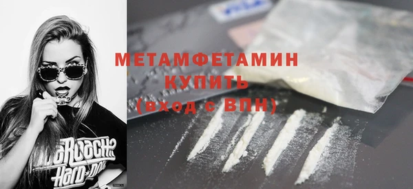 ГАЛЛЮЦИНОГЕННЫЕ ГРИБЫ Дмитриев