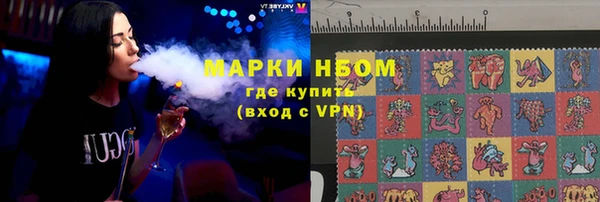 ГАЛЛЮЦИНОГЕННЫЕ ГРИБЫ Дмитриев