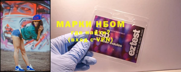 ГАЛЛЮЦИНОГЕННЫЕ ГРИБЫ Дмитриев