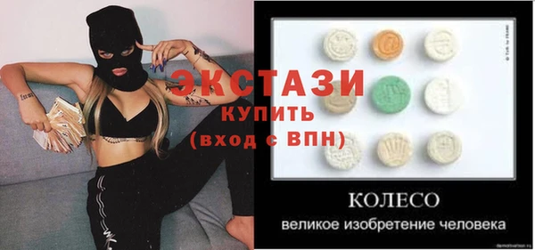 ГАЛЛЮЦИНОГЕННЫЕ ГРИБЫ Дмитриев