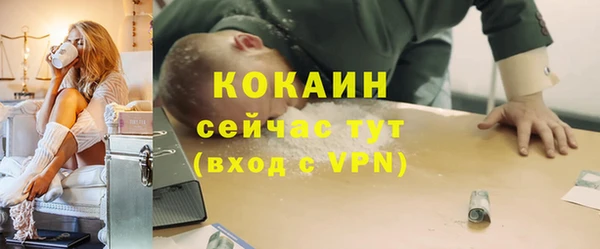 ГАЛЛЮЦИНОГЕННЫЕ ГРИБЫ Дмитриев