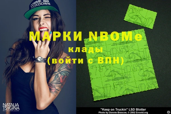 ГАЛЛЮЦИНОГЕННЫЕ ГРИБЫ Дмитриев