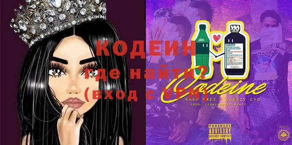 ГАЛЛЮЦИНОГЕННЫЕ ГРИБЫ Дмитриев