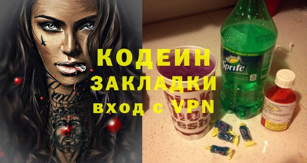 ГАЛЛЮЦИНОГЕННЫЕ ГРИБЫ Дмитриев