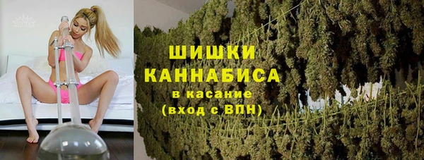ГАЛЛЮЦИНОГЕННЫЕ ГРИБЫ Дмитриев