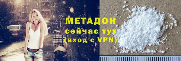 ГАЛЛЮЦИНОГЕННЫЕ ГРИБЫ Дмитриев