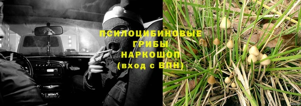 ГАЛЛЮЦИНОГЕННЫЕ ГРИБЫ Дмитриев