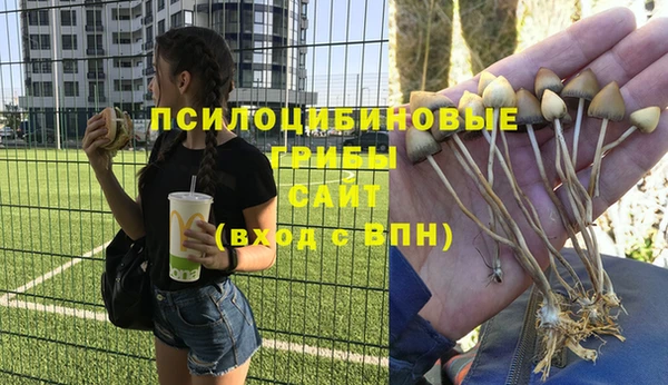 амф Дмитров