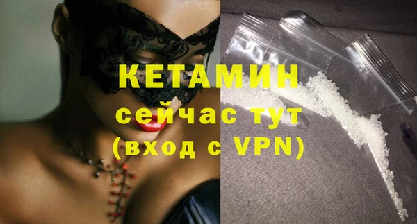 ГАЛЛЮЦИНОГЕННЫЕ ГРИБЫ Дмитриев
