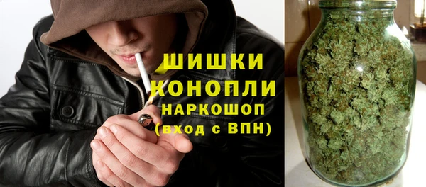 ГАЛЛЮЦИНОГЕННЫЕ ГРИБЫ Дмитриев