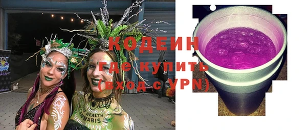 ГАЛЛЮЦИНОГЕННЫЕ ГРИБЫ Дмитриев