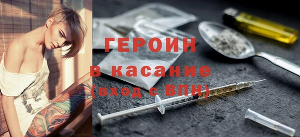 ГАЛЛЮЦИНОГЕННЫЕ ГРИБЫ Дмитриев