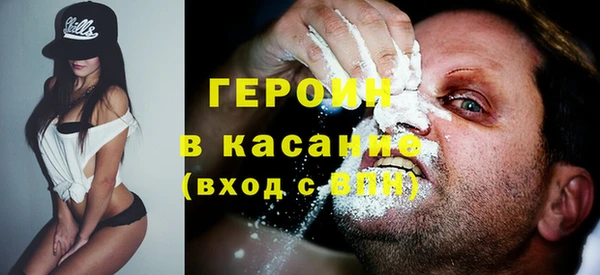 ГАЛЛЮЦИНОГЕННЫЕ ГРИБЫ Дмитриев