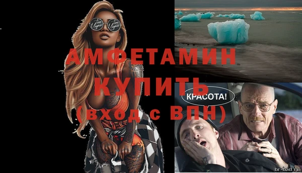 амф Дмитров