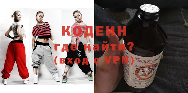 ГАЛЛЮЦИНОГЕННЫЕ ГРИБЫ Дмитриев